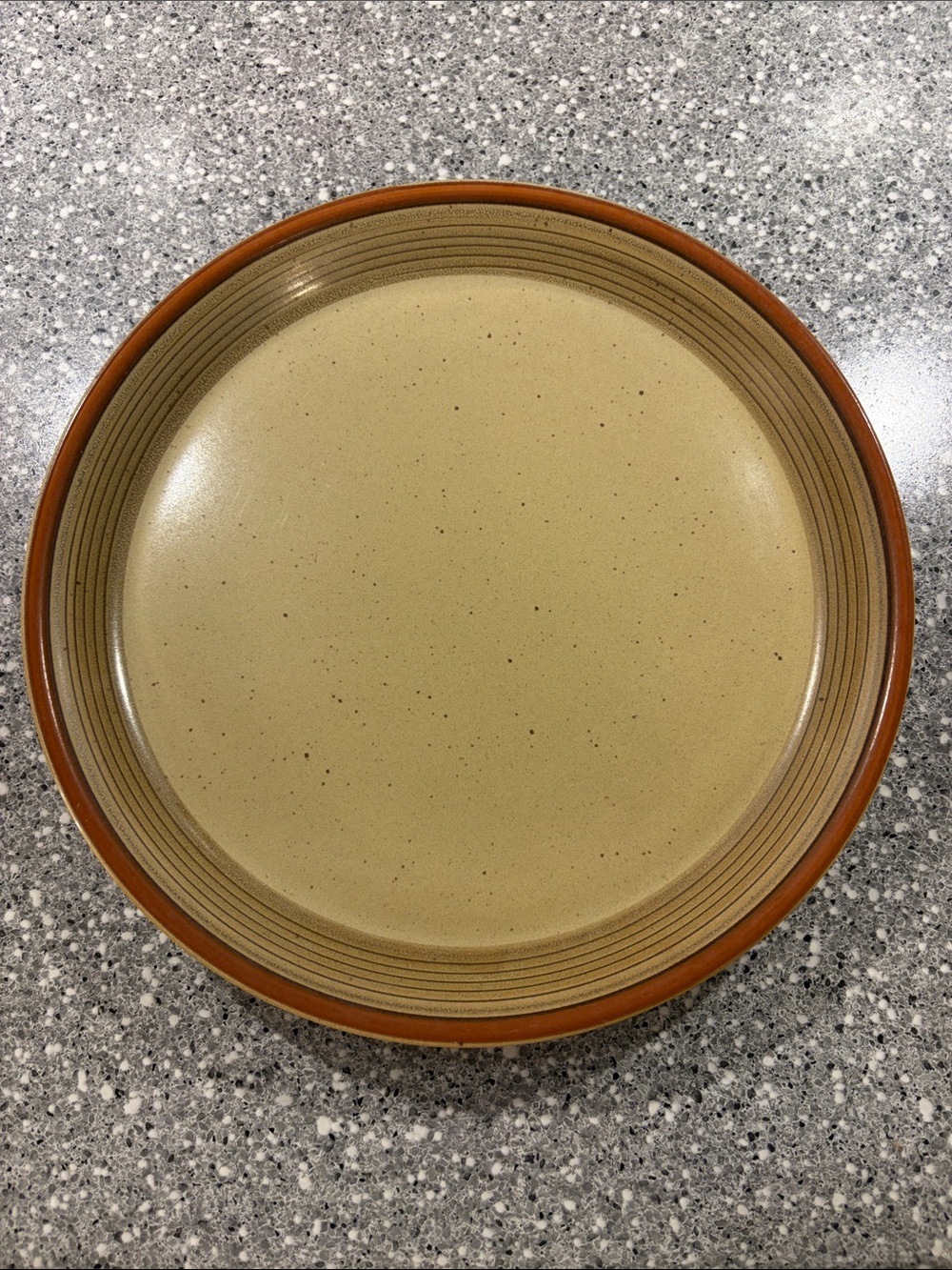 Mikasa Potters Art Dinner Plate